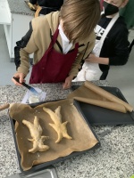 kr-b2