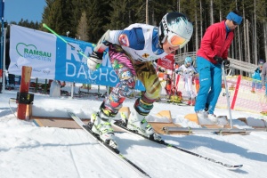 alpin1-1