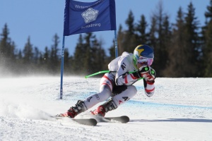 alpin1-4