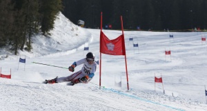 alpin1-5