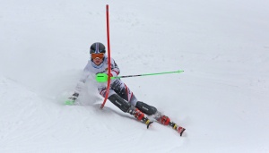 alpin1-7